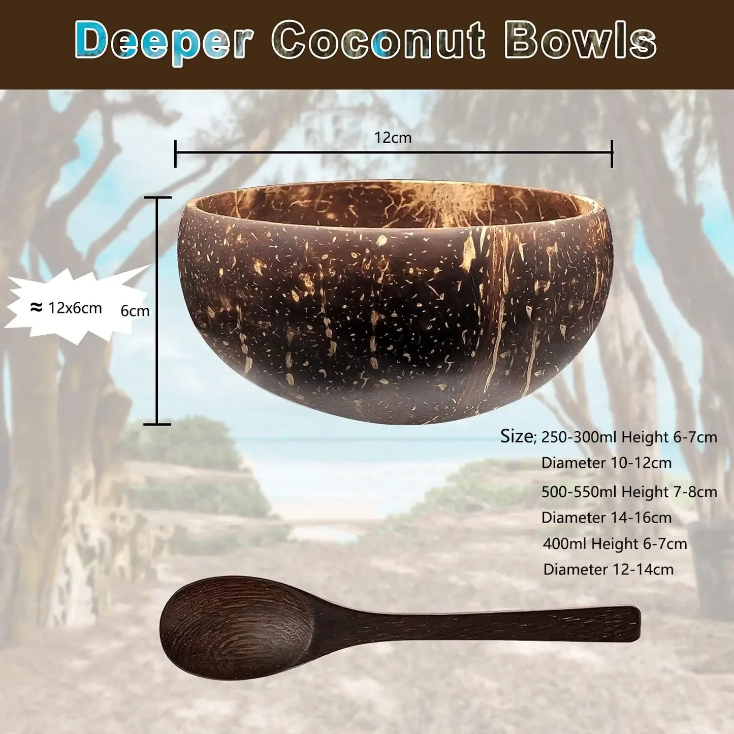 Hand Polished Coconut Shell Serving Set