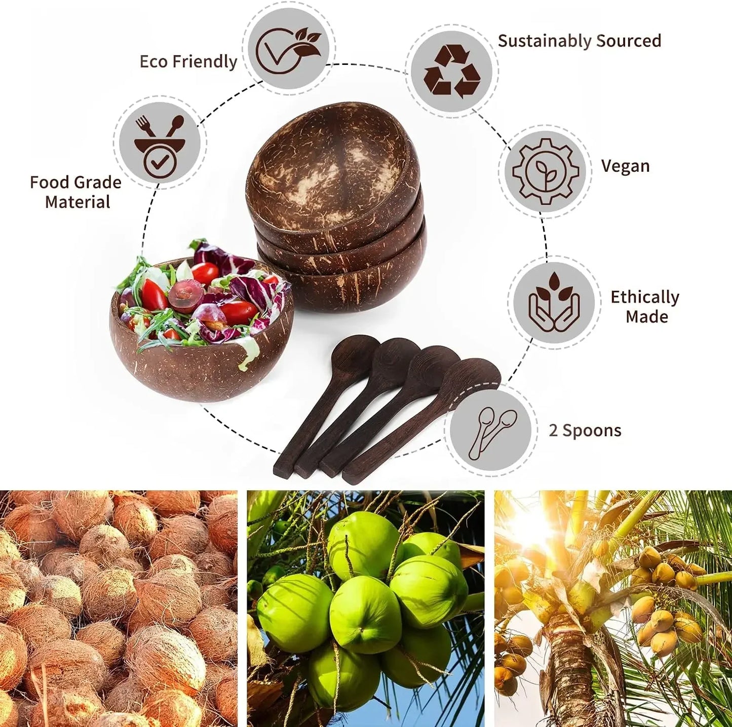 Hand Polished Coconut Shell Serving Set